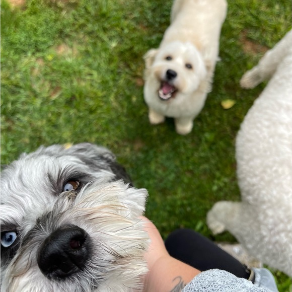 Meet your Posher Jennifer💚 - Picture 6 of 12